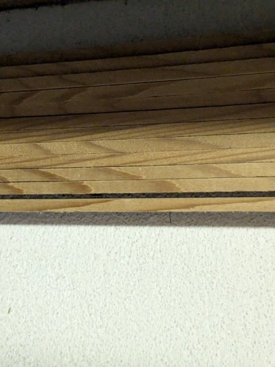 PXL_20250610_161652113.jpg