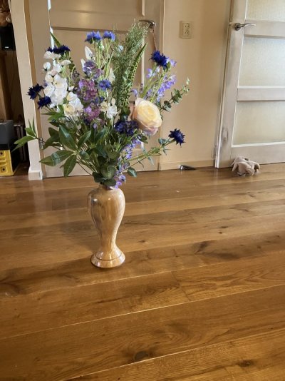 IMG_7565.jpeg
