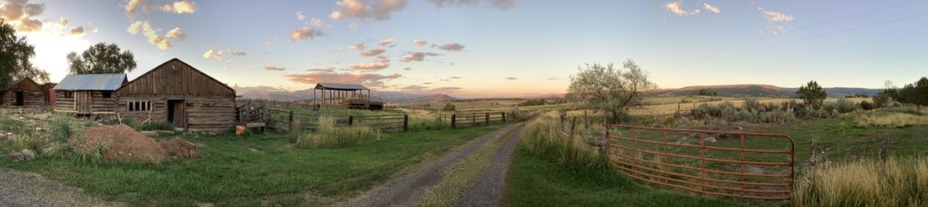 IMG_0429.jpeg