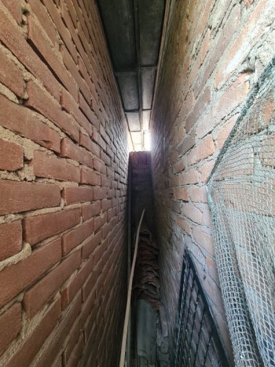 20250728_145926.jpg