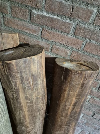 Slangenhout stammetjes.jpg