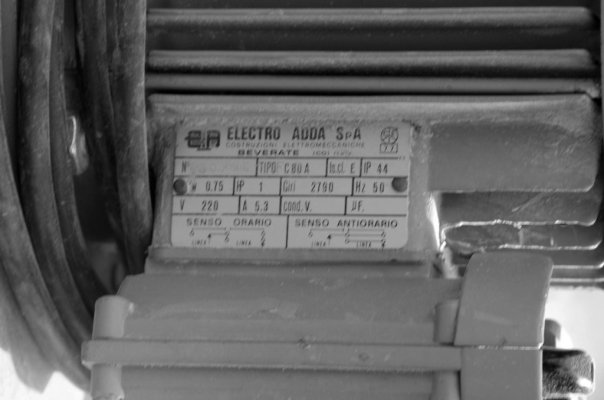 IMGP8965.JPG