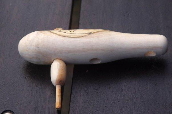 IMGP9021.jpg IMGP9021.jpg