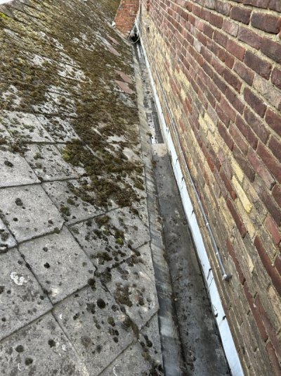 IMG_4387.jpeg IMG_4387.jpeg