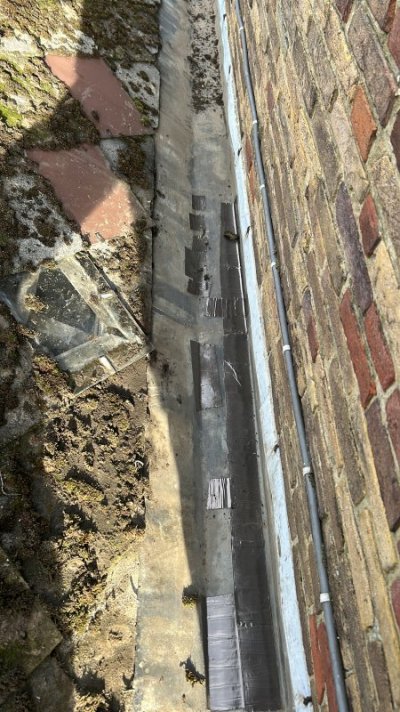 5DCE603D-BBA2-4915-8FBD-EE001B0FB514.jpeg 5DCE603D-BBA2-4915-8FBD-EE001B0FB514.jpeg