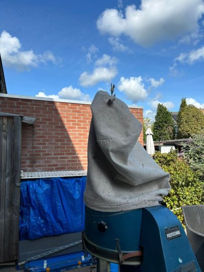 1000006013.jpg 1000006013.jpg