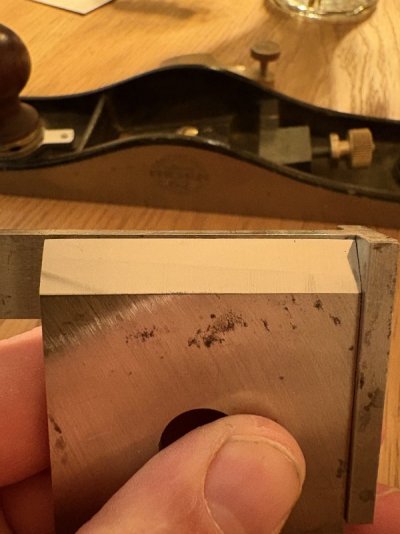 IMG_5937.jpeg IMG_5937.jpeg