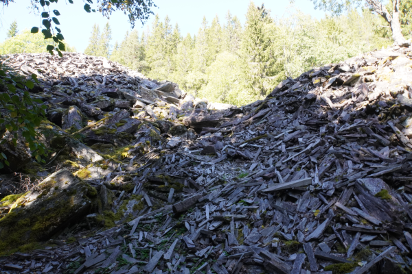 1763628632706.png 1763628632706.png