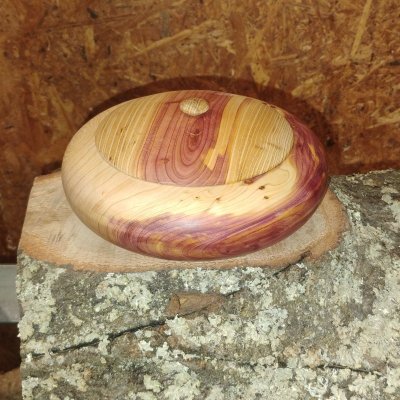 IMG_20251120_145229503.jpg IMG_20251120_145229503.jpg