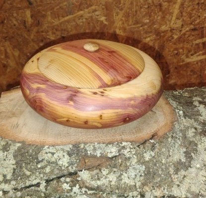 IMG_20251120_145244786.jpg IMG_20251120_145244786.jpg