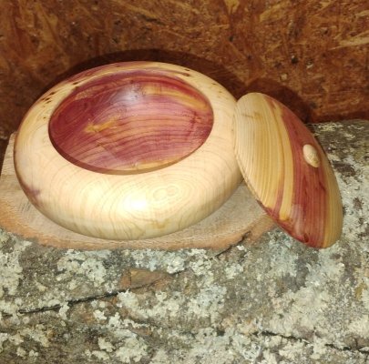 IMG_20251120_145334668.jpg IMG_20251120_145334668.jpg