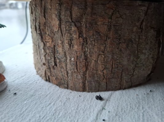 20251205_131058.jpg 20251205_131058.jpg