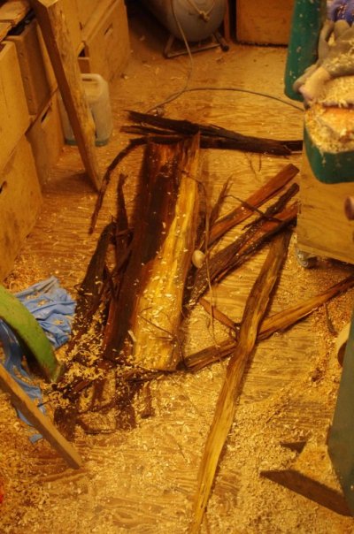 IMGP9043.jpg IMGP9043.jpg