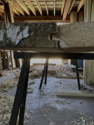 IMG_1329.jpeg IMG_1329.jpeg