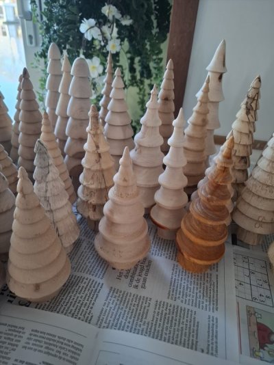 20251213_114351.jpg 20251213_114351.jpg