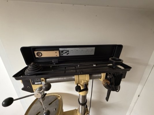 IMG_0731 2 Medium.jpeg