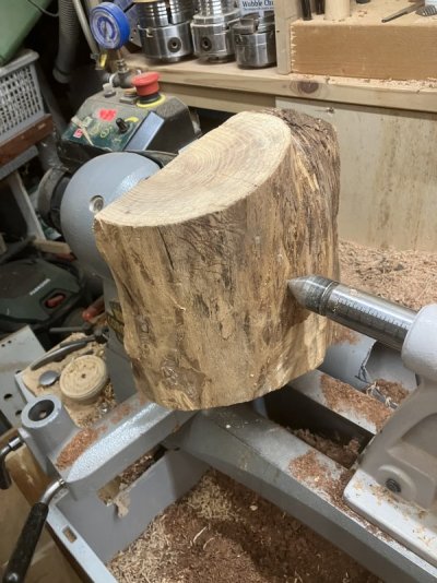 IMG_8511.jpeg IMG_8511.jpeg