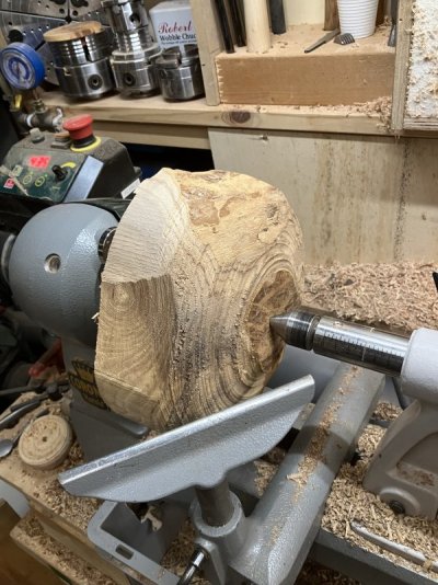 IMG_8513.jpeg IMG_8513.jpeg