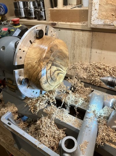 IMG_8528.jpeg IMG_8528.jpeg