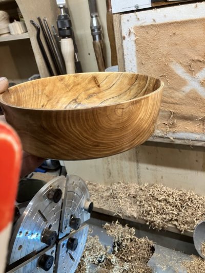 IMG_8531.jpeg IMG_8531.jpeg