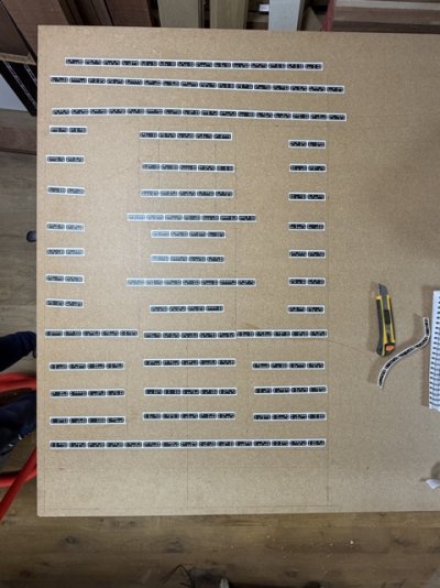 IMG_0832 Medium.jpeg