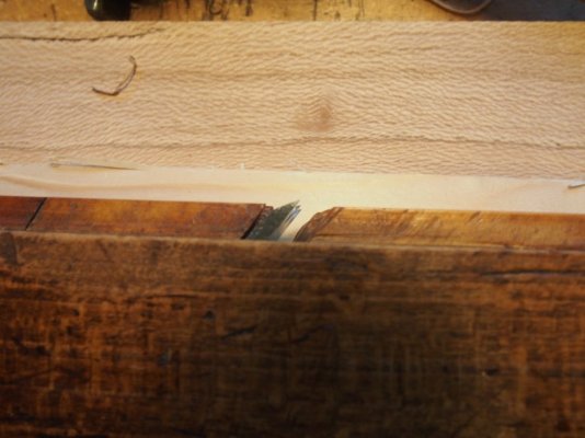 P1100323.JPG P1100323.JPG