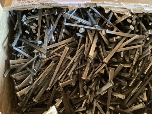 IMG_1362.jpeg IMG_1362.jpeg