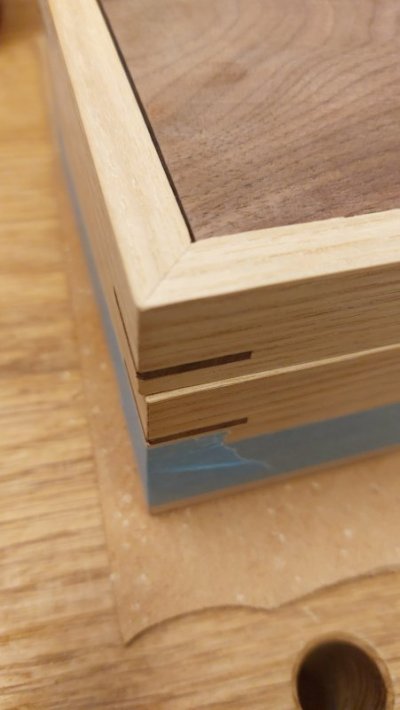 20260121_171955.jpg 20260121_171955.jpg