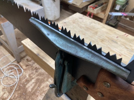 IMG_1121.jpeg IMG_1121.jpeg