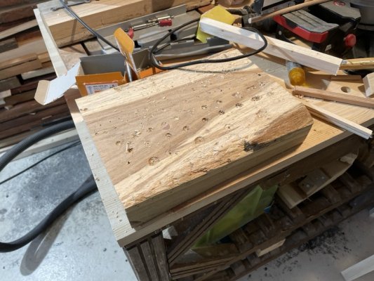 IMG_8705.jpeg IMG_8705.jpeg