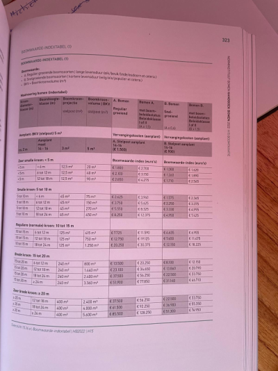 1772475243725.png 1772475243725.png