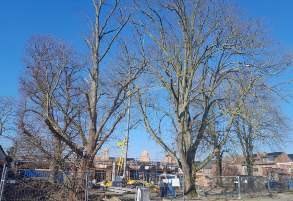 1772542123060.png 1772542123060.png