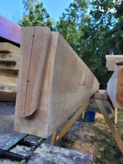 1000018061.jpg