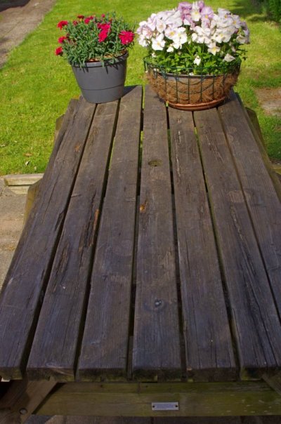 IMGP9165.jpg