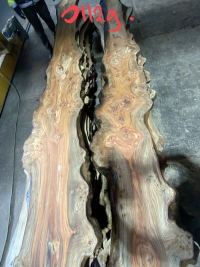 Iepen wortelnotenhout, Elm burl, Ulme maserknolle (39).JPEG