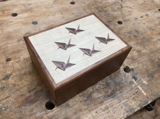 IMG_1817.jpeg IMG_1817.jpeg