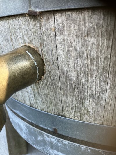 IMG_4482.jpeg