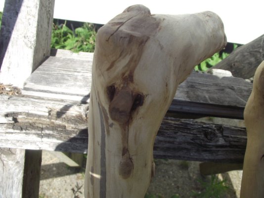 DSCF7625.JPG