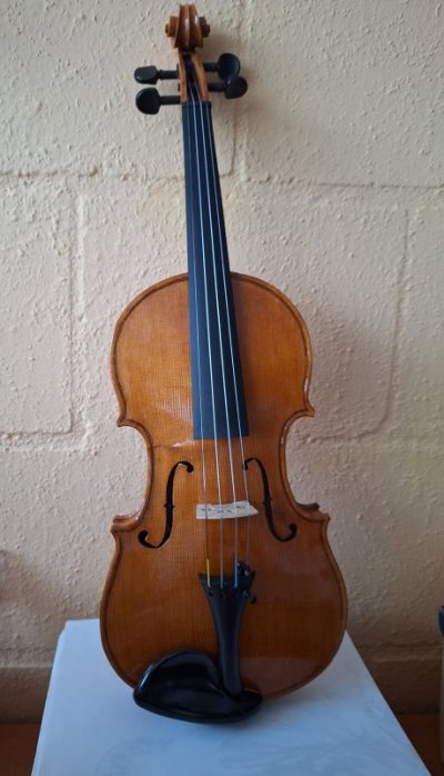 Viool-1.jpg