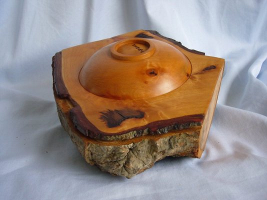Almond bowl 12G07 f.JPG Almond bowl 12G07 f.JPG
