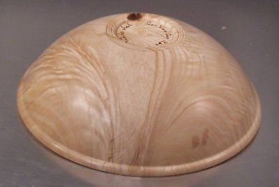 Curly White Ash bottom.jpg Curly White Ash bottom.jpg