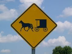 Horse and buggy sign.jpg