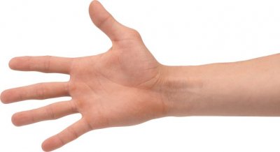 hands_PNG929.jpg