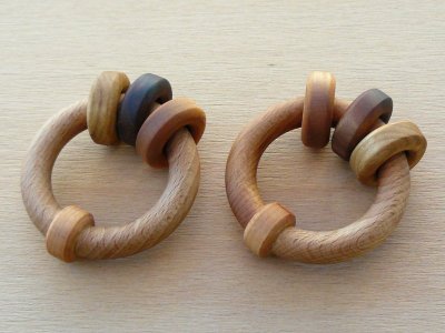 Rattle rings 3.jpg