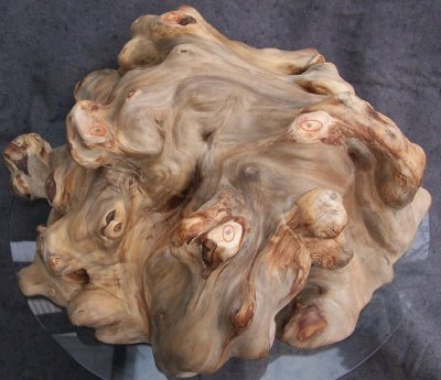 Willow burl.jpg Willow burl.jpg