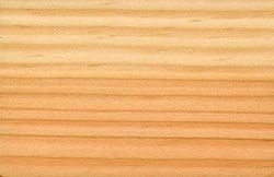 Douglas ~ Oregon pine.jpg Douglas ~ Oregon pine.jpg