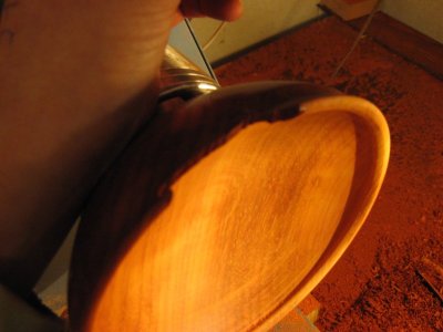 IMG_1255.jpg
