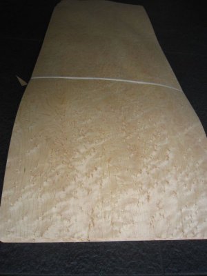 D205-3 Birdseye Maple 88x36cm.jpg