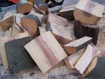 cut up Beech blanks.jpg