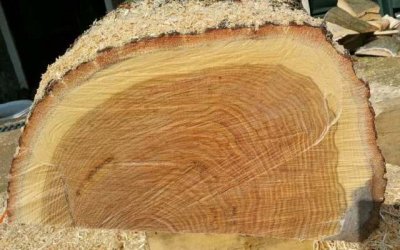 un-equal Oak block.jpg un-equal Oak block.jpg
